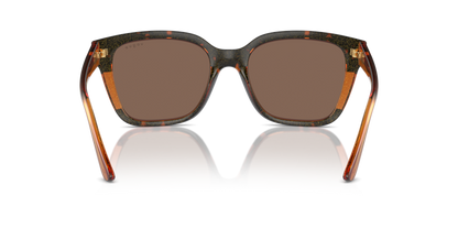 Havana/Transparent Brown Glitter - 0VO5558S 8056262012154