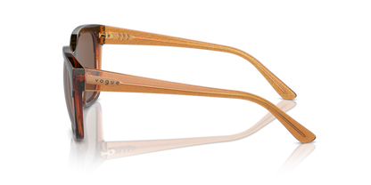 Havana/Transparent Brown Glitter - 0VO5558S 8056262012154