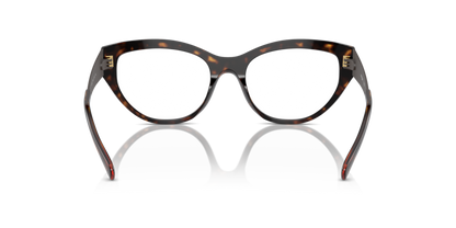 Dark Havana - 0VO5560 8056262007839