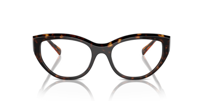 Dark Havana - 0VO5560 8056262007839