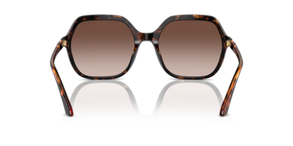 Dark Havana - 0VO5561S 8056262013748