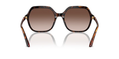 Dark Havana - 0VO5561S 8056262013748
