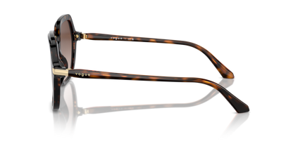 Dark Havana - 0VO5561S 8056262013748