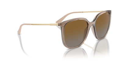 Transparent Brown - 0VO5564S 8056262005439