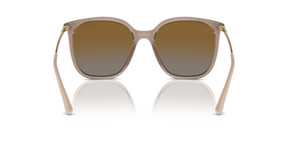 Transparent Brown - 0VO5564S 8056262005439