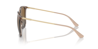 Transparent Brown - 0VO5564S 8056262005439