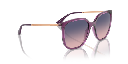 Transparent Violet - 0VO5564S 8056262005446