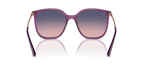 Transparent Violet - 0VO5564S 8056262005446