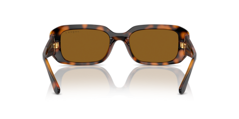 Dark Havana - 0VO5565S 8056262042991