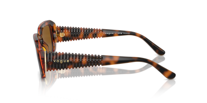 Dark Havana - 0VO5565S 8056262042991