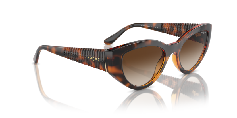 Dark Havana - 0VO5566S 8056262043042