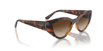 Dark Havana - 0VO5566S 8056262043042