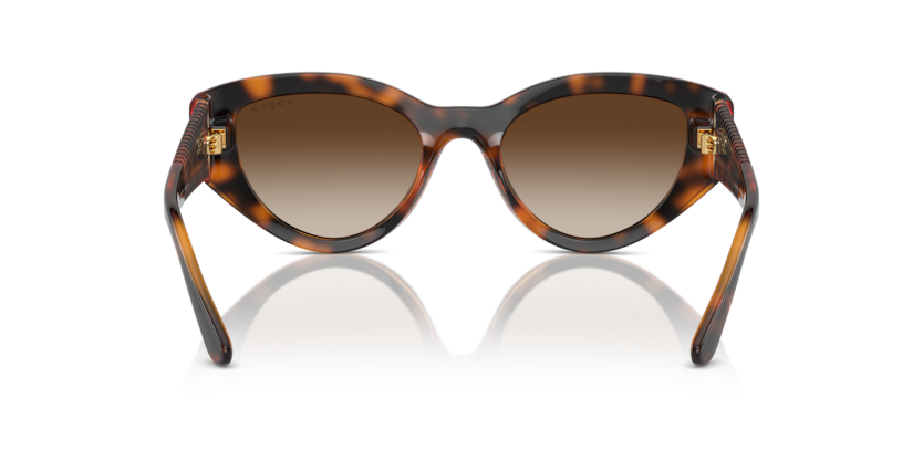 Dark Havana - 0VO5566S 8056262043042