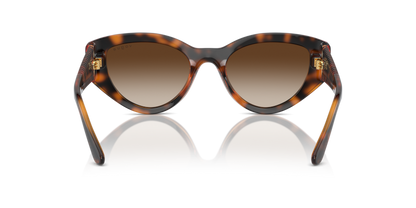 Dark Havana - 0VO5566S 8056262043042