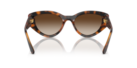 Dark Havana - 0VO5566S 8056262043042