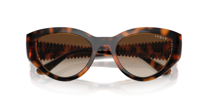 Dark Havana - 0VO5566S 8056262043042