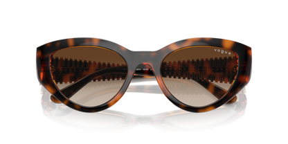 Dark Havana - 0VO5566S 8056262043042