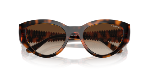 Dark Havana - 0VO5566S 8056262043042