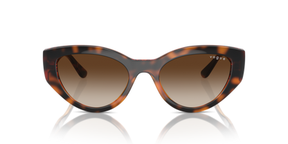 Dark Havana - 0VO5566S 8056262043042