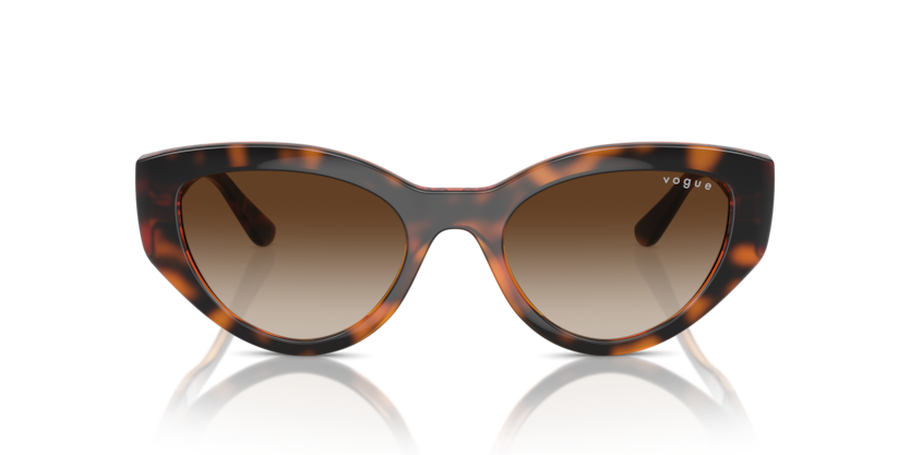 Dark Havana - 0VO5566S 8056262043042