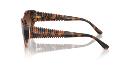 Dark Havana - 0VO5566S 8056262043042