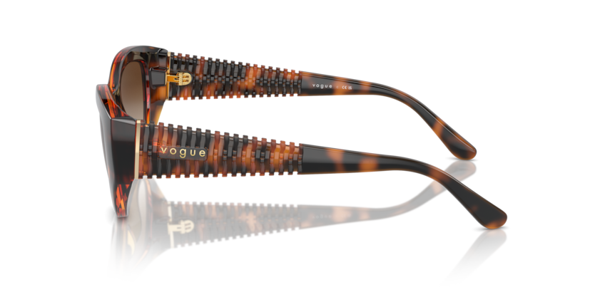 Dark Havana - 0VO5566S 8056262043042