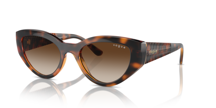 Dark Havana - 0VO5566S 8056262043042