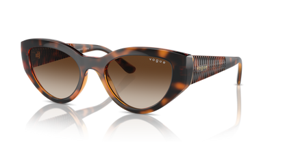 Dark Havana - 0VO5566S 8056262043042