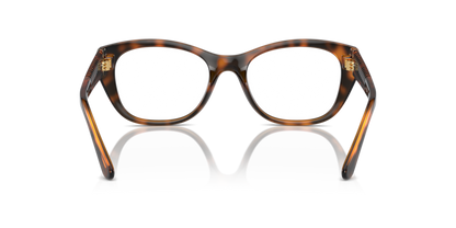 Dark Havana - 0VO5569 8056262004753