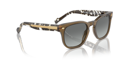 Transparent Olive Green - 0VO5571S 8056262009512