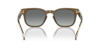 Transparent Olive Green - 0VO5571S 8056262009512