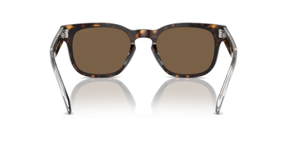 Dark Havana - 0VO5571S 8056262009499