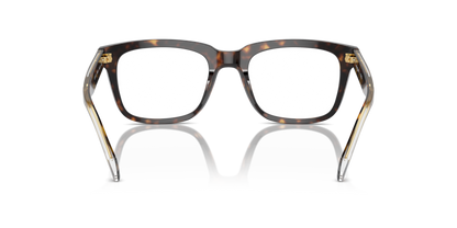 Dark Havana - 0VO5572 8056262009291