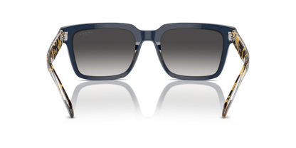 Transparent Blue - 0VO5573S 8056262009208