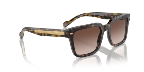 Dark Havana - 0VO5573S 8056262009185