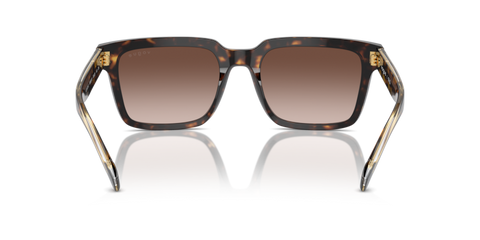 Dark Havana - 0VO5573S 8056262009185