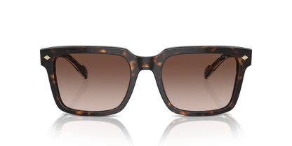 Dark Havana - 0VO5573S 8056262009185