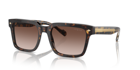 Dark Havana - 0VO5573S 8056262009185