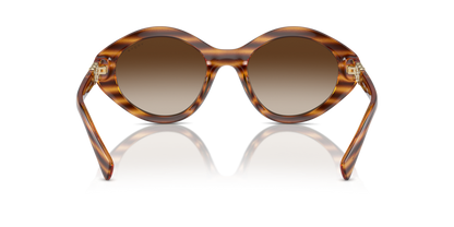 Striped Dark Havana - 0VO5576SB 8056262006283