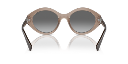 Transparent Brown - 0VO5576SB 8056262006290