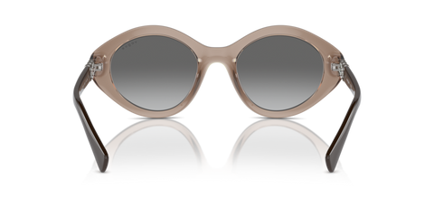 Transparent Brown - 0VO5576SB 8056262006290