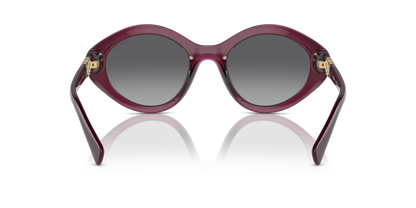 Transparent Cherry - 0VO5576SB 8056262006313