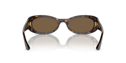 Dark Havana - 0VO5582S 8056262148037