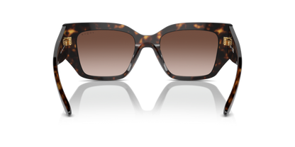 Dark Havana - 0VO5583S 8056262148150