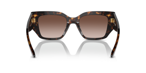 Dark Havana - 0VO5583S 8056262148150