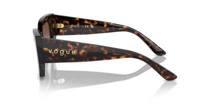 Dark Havana - 0VO5583S 8056262148150