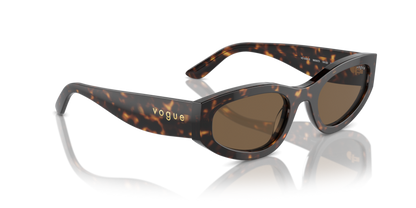 Dark Havana - 0VO5585S 8056262148211