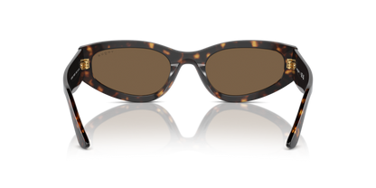 Dark Havana - 0VO5585S 8056262148211