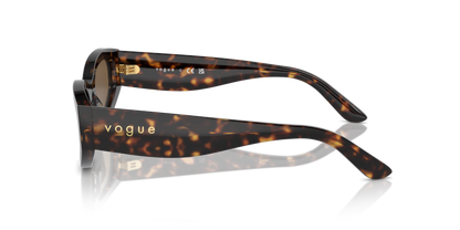 Dark Havana - 0VO5585S 8056262148211