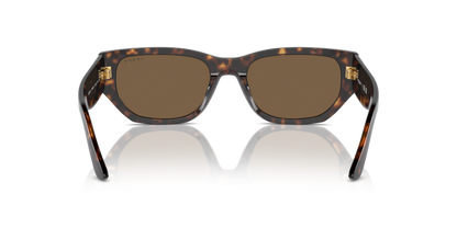 Dark Havana - 0VO5586S 8056262148310